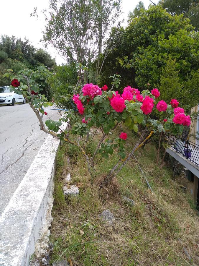 Mare Di Zante "Mare Di Levante" Αλυκανάς Δωμάτιο φωτογραφία