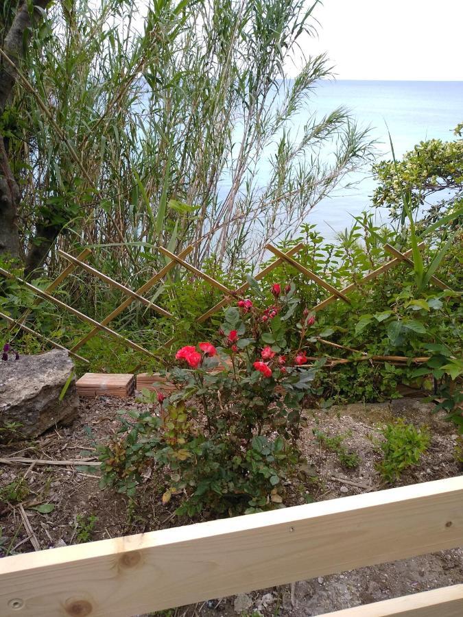 Mare Di Zante "Mare Di Levante" Αλυκανάς Εξωτερικό φωτογραφία